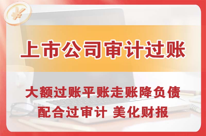 潞西上市公司审计过账